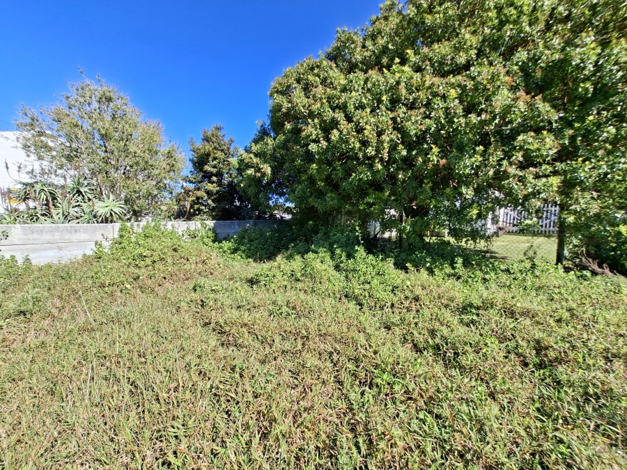 0 Bedroom Property for Sale in Palmiet Western Cape